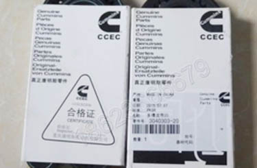 Courroie cummins 3040303