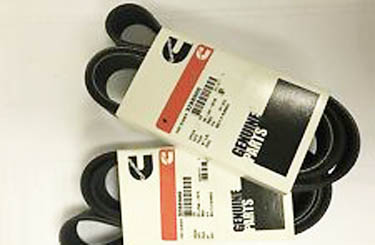 Courroie cummins 3288900