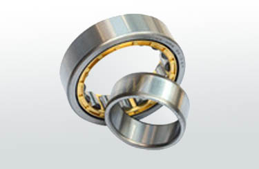 Roulement nu 226 ecm